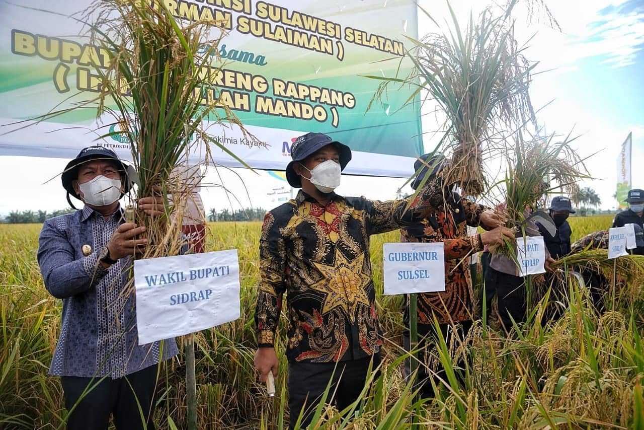 Produksi Padi Meningkat, Plt Gubernur Bersurat ke Menko Perekonomian dan Mentan Meminta Mobilisasi Nasional Pengeluaran Beras dari Sulsel
